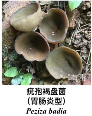 微信图片_20230705085751.jpg