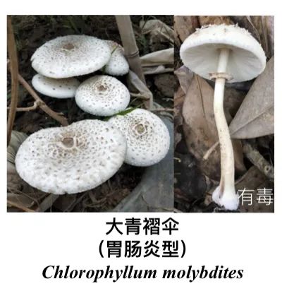 微信图片_20230705085754.jpg
