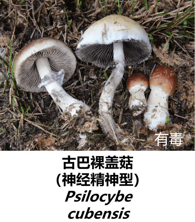 微信图片_20230706083501.png