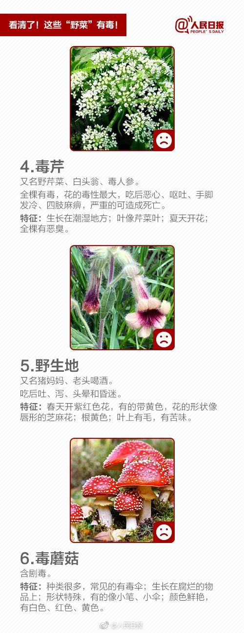 4.png 4.png
