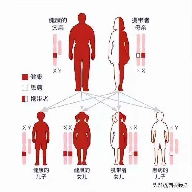 2.jpg 2.jpg