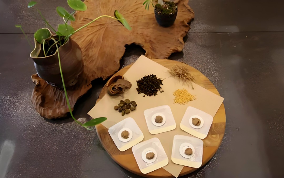 冬病夏治！趁热打“贴”——万医三伏贴+灸，趁热调理更有效！