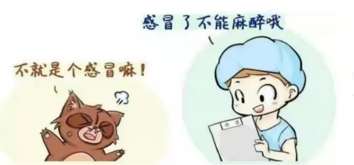 患儿麻醉遇上感冒，手术还能做吗？麻醉科医生这样说