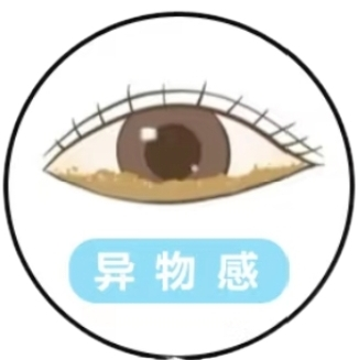 13.png